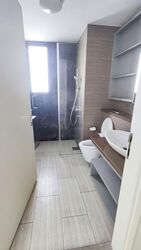 Sky Green (D13), Condominium #538839891